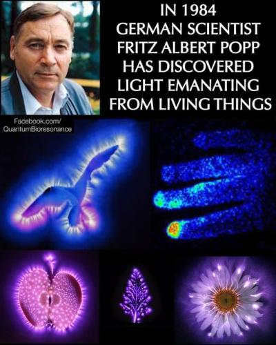 ,                                                                                                                                                                                                                          0 1