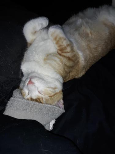 3cf5b41e-a2a7-4496-88aa-22ae379f000c