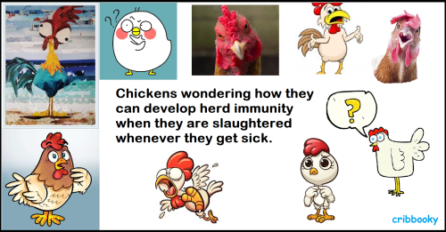 no_herd)immunity4chickens