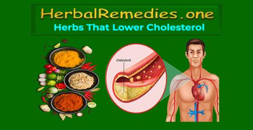 Herbalremedies.one -Herbs That Lower Cholesterol