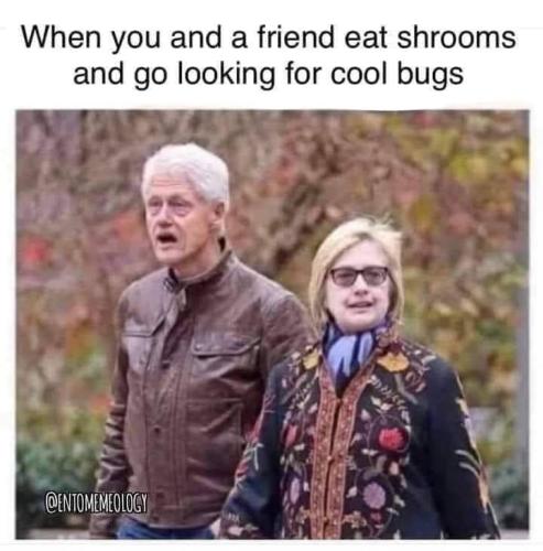 FB_IMG_1674862865383