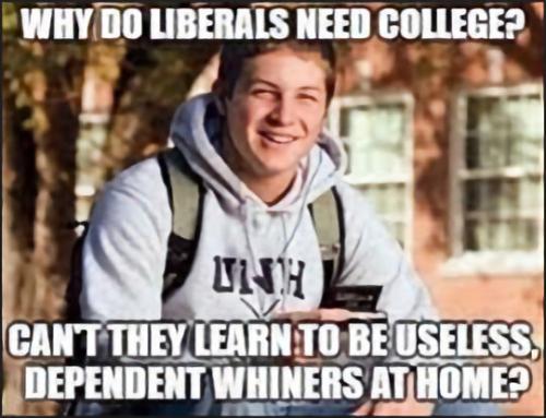 liberals319