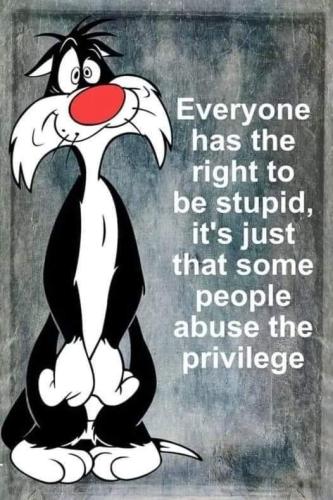 FB_IMG_1672301473159