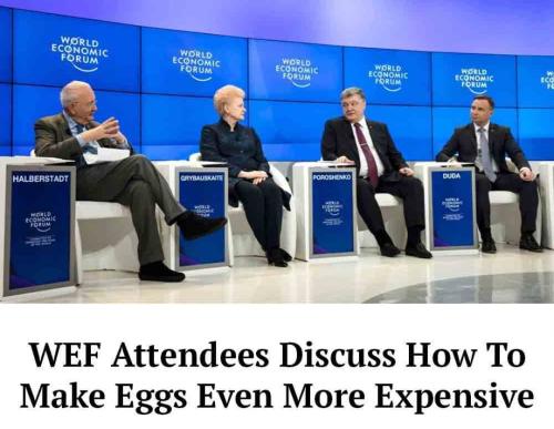 Screenshot_20230117_181705_Instagram