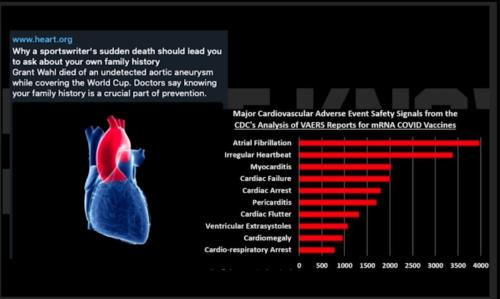 Screenshot_20230111-061354_Messenger