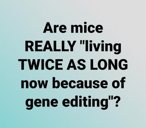 17:58:42 GMT-0500 (EST)