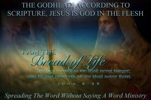 320422485_571641184404384_8168372608753571558_n