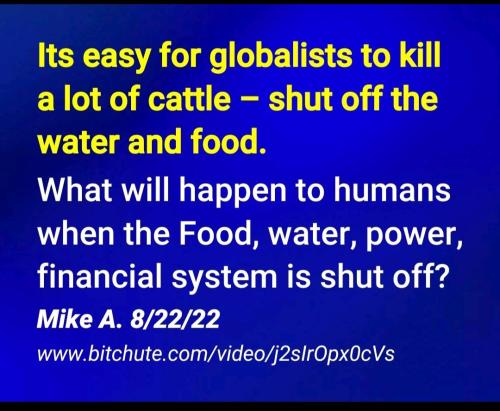 20:04:25 GMT-0500 (EST)