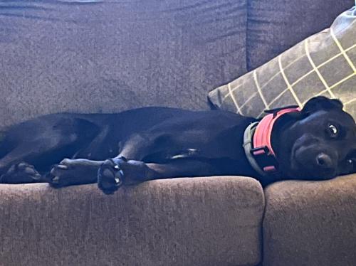 E03EA466-A76A-4C27-BA40-22311D037351