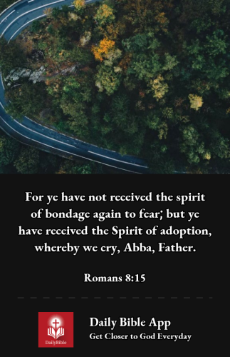 2023-01-081673228159275