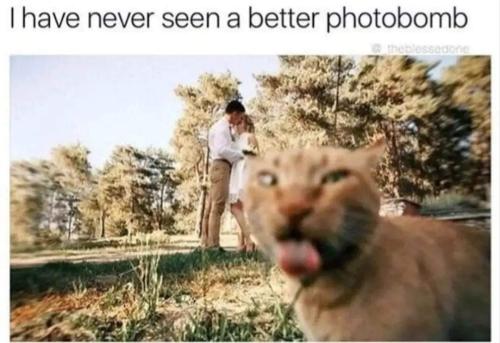 FB_IMG_1675150233787