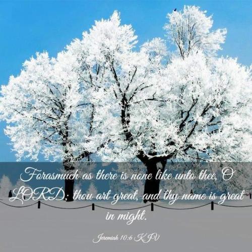 a36b35d3-2442-44a8-ab30-1b11eff67028