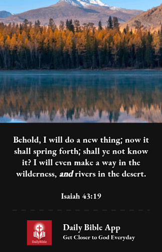 2023-01-021672642362256