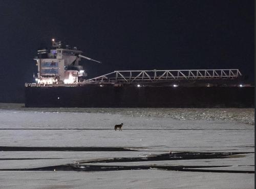 52BFD781-FB28-48BC-A228-543A8BA59973