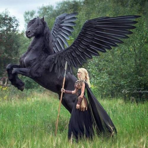 62efcf856c858aec6dc1a8ede36e13f7