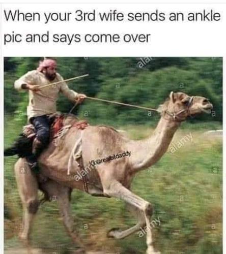 FB_IMG_1673538040935