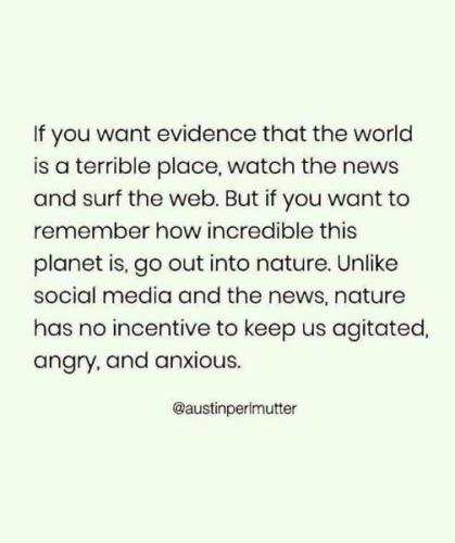 325531069_880984043234649_5223699670026187333_n