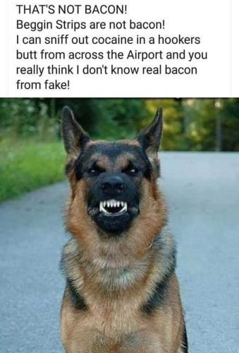FB_IMG_1673471662292