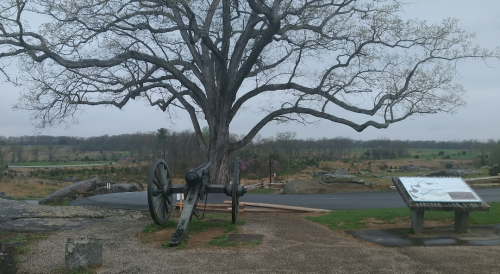 Screenshot_20221204-123717-243