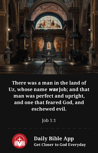 2023-01-231674510378404