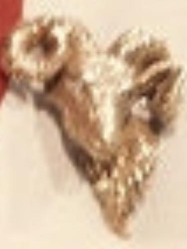 IMG_20230103_113732_026