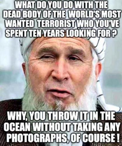 bush10