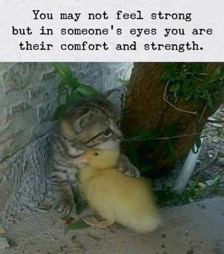 cb157377-8108-4992-8fa5-37a783a2af05