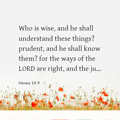 dailybible_20230106-144755_Hosea_14-9