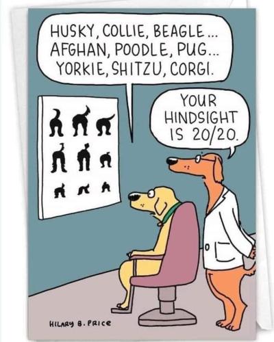 dog hindsight