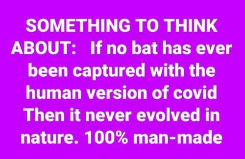 327251888_1296394361140831_3026084380934610055_n