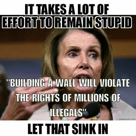 nancy-pelosi-meme-quote