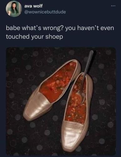 You've barely touched your shoep