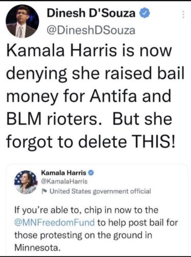kamala bail me