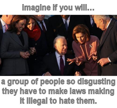 people so disgusting that they have to make laws01