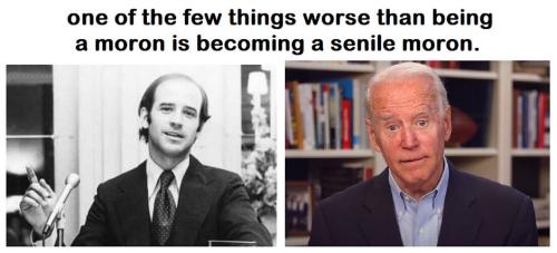 biden1186