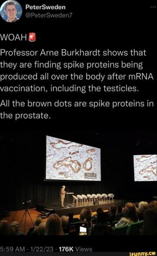 ea2208e7-bf35-4835-ae00-4777b68b4833