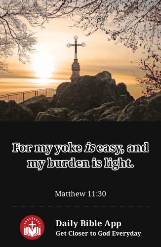 2023-01-161673920288945