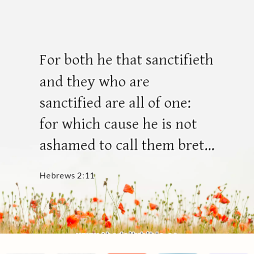 dailybible_20230109-202649_Hebrews_2-11