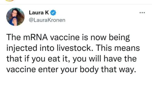 19:36:28 GMT-0500 (EST)