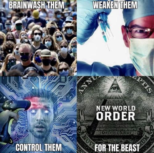 NWO 1