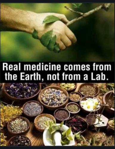 Screenshot_20221223_124103_Chrome