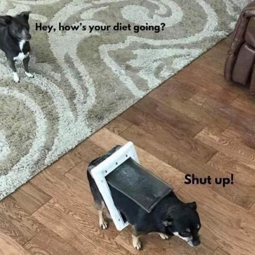 FB_IMG_1673300373547