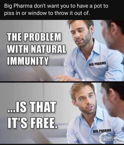 Screenshot_20230111_223208_YouTube