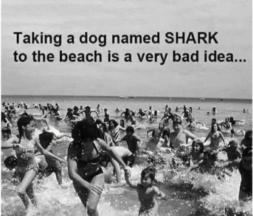 FB_IMG_1674357152421