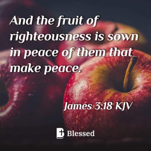 FB_IMG_1673032177542