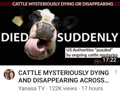 11:49:35 GMT-0500 (EST)