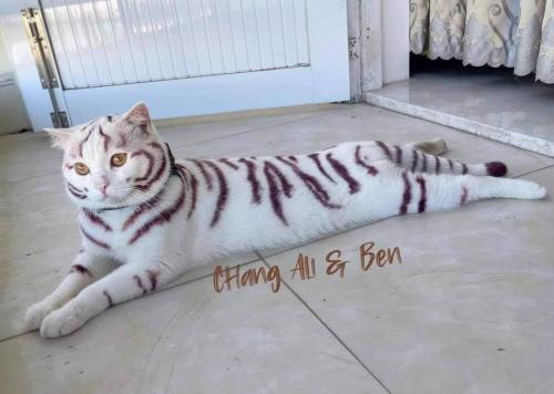 FB_IMG_1673924824709