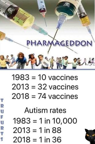 Vaccines and autism rates