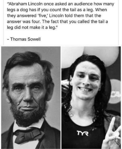 322959802_873516017183832_1220243934859383899_n