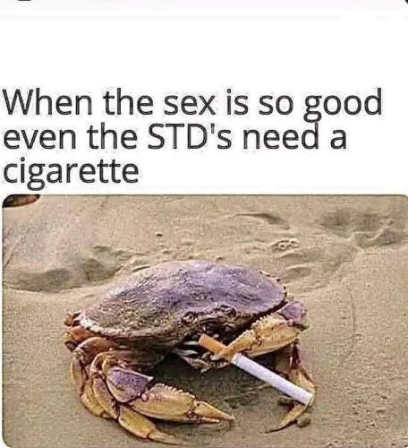 FB_IMG_1672817322247